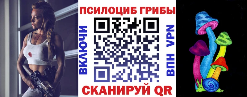 Галлюциногенные грибы Magic Shrooms  Нерчинск 